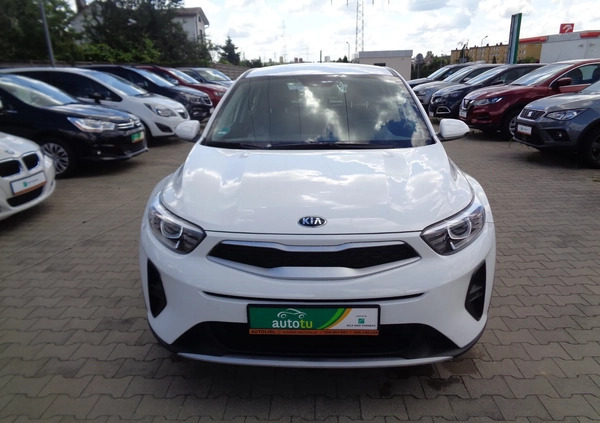 Kia Stonic cena 66900 przebieg: 26000, rok produkcji 2019 z Rydułtowy małe 436